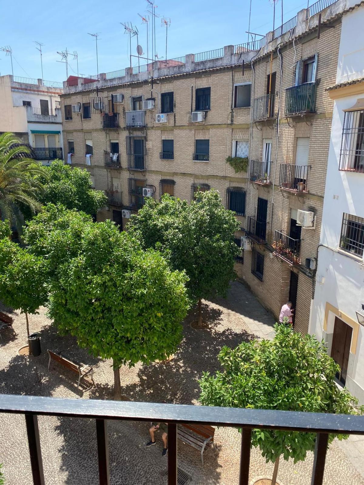 La Escalerita Lägenhet Córdoba Exteriör bild